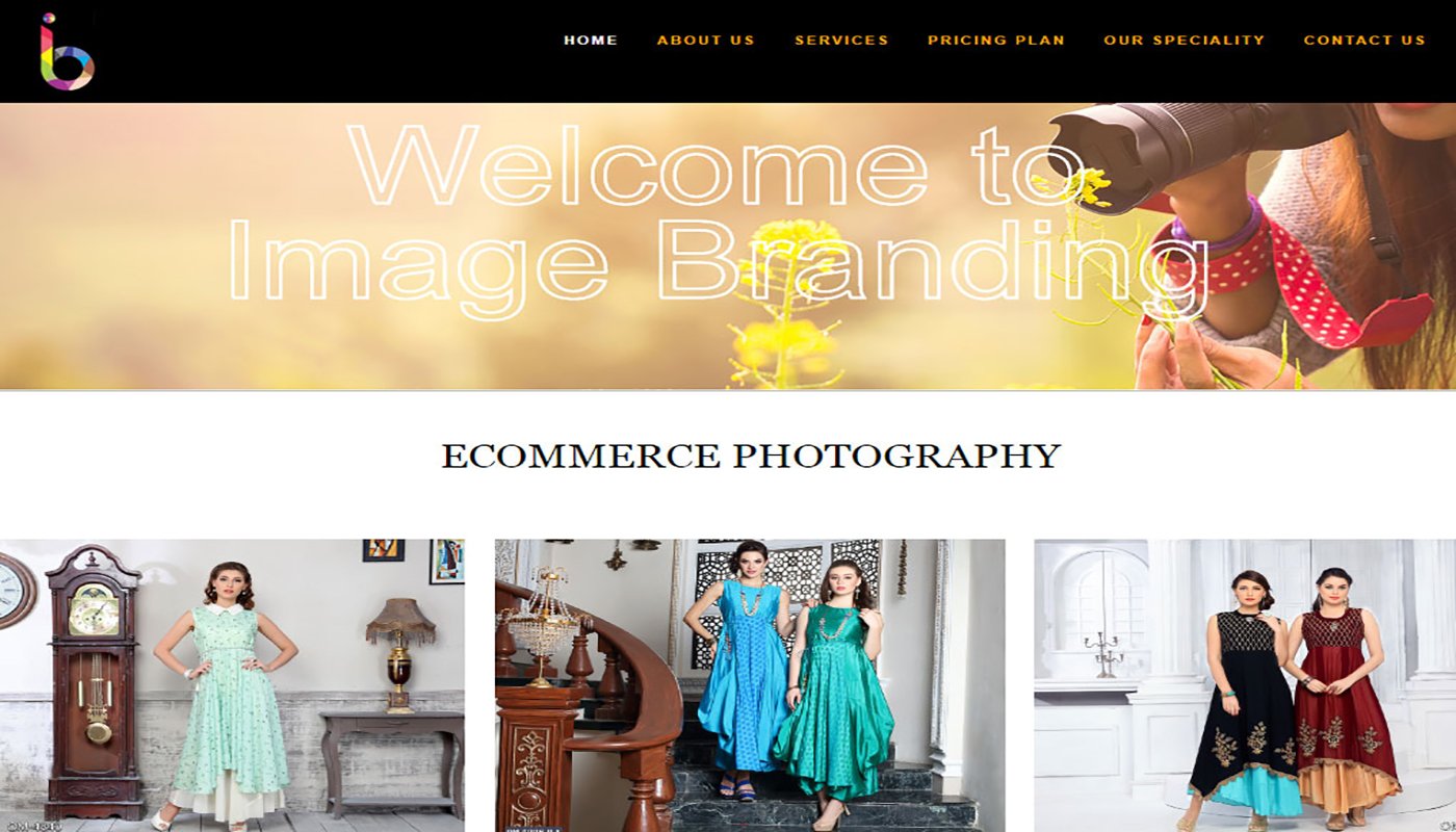 timelineefx Portfolio