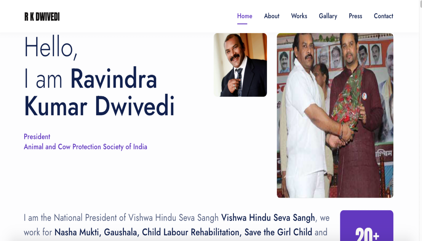timelineefx Portfolio