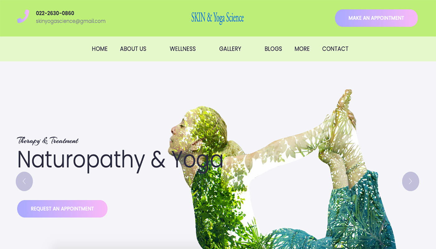 timelineefx Portfolio